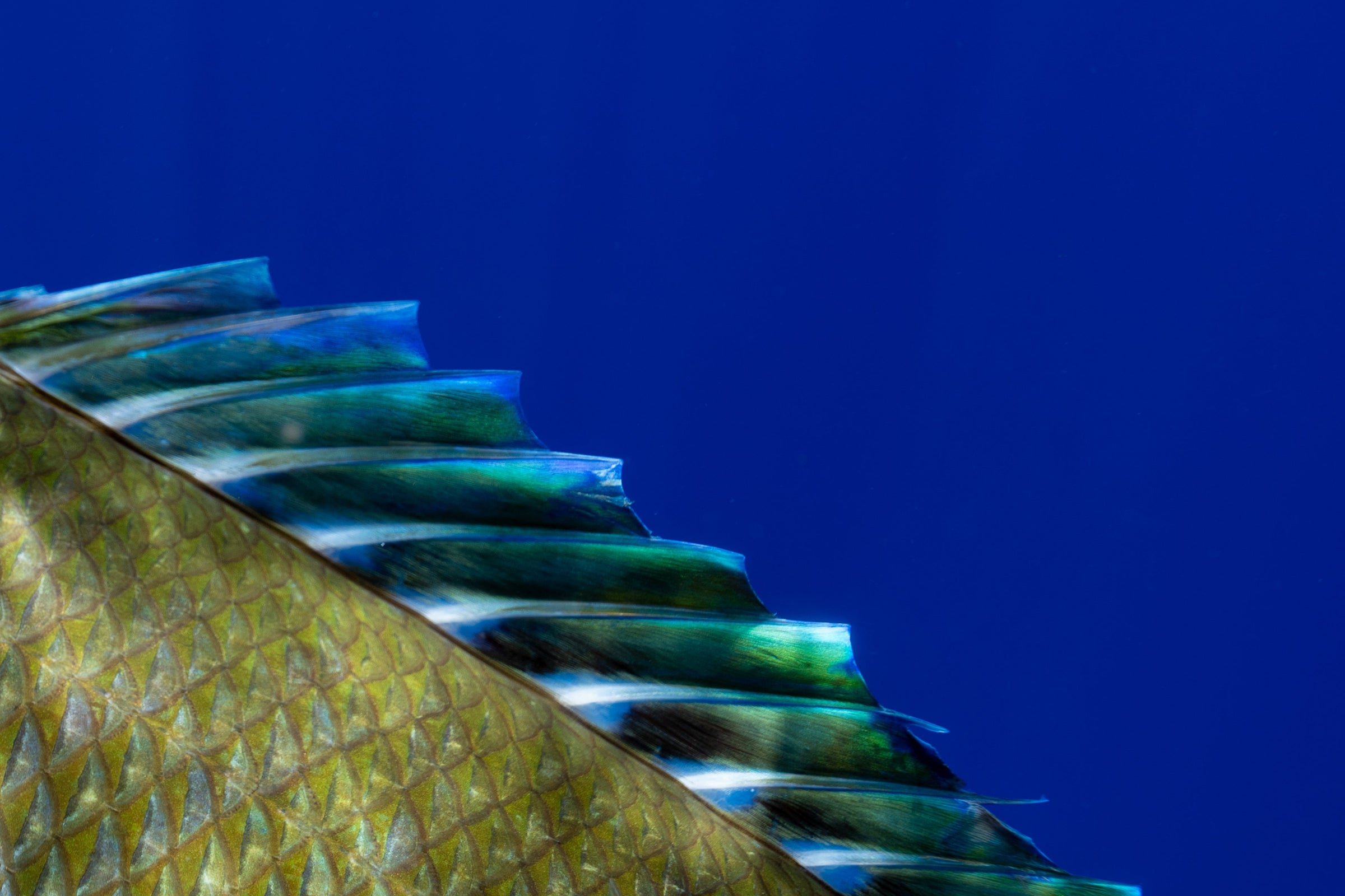 Winter Clearance Sale